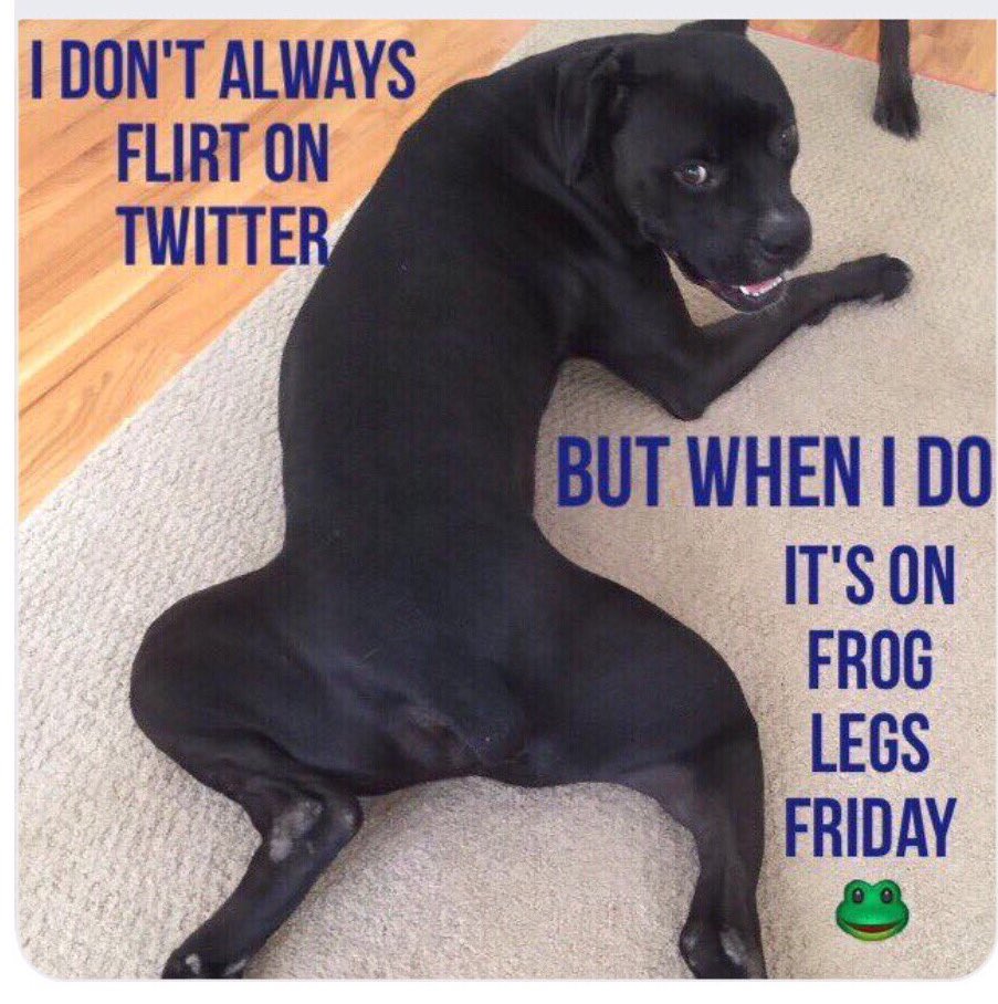 k9kayaks's tweet photo. @MasseyShanny Damon 💭 Happy #FrogLegsFriday 
#BigMoose 
#Boxador
#Boxadorable https://t.co/6eJoG42qhm