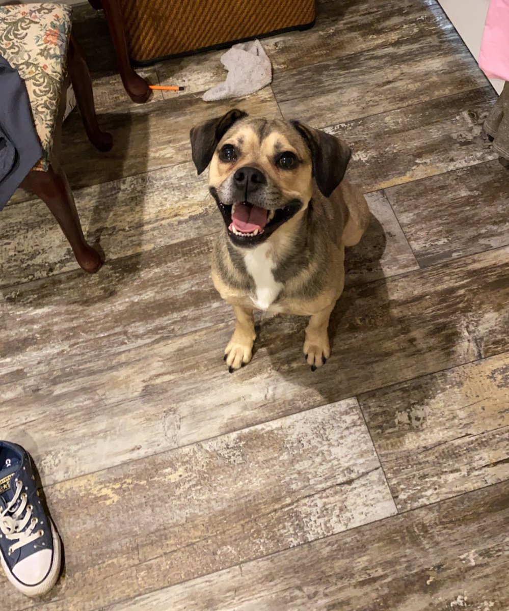 <a href="/Flounder03/">Flounder</a> I agree it ain’t easy being a lady killer. He says “thanks bro” 😂