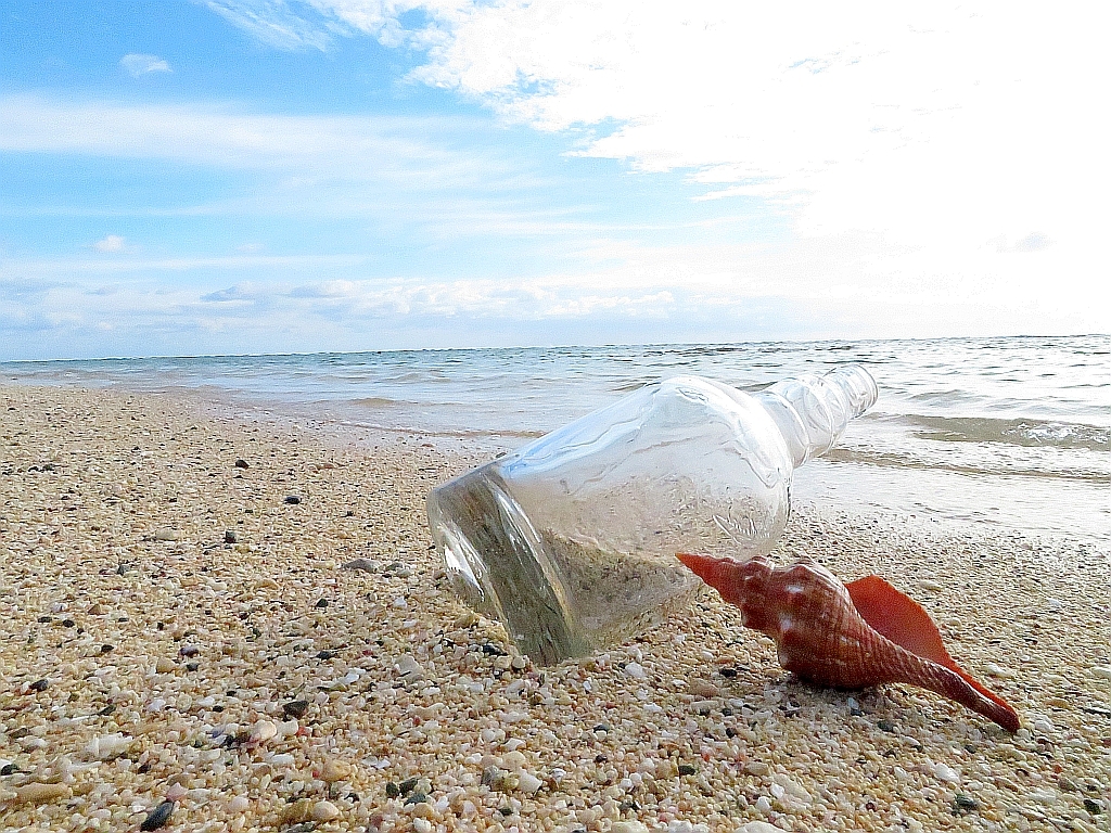 海辺の風景 薄日のさす早朝の海辺、大きなボトルが流れ着いていました。 奄美 amami The beach in the early morning when the sun shines. 