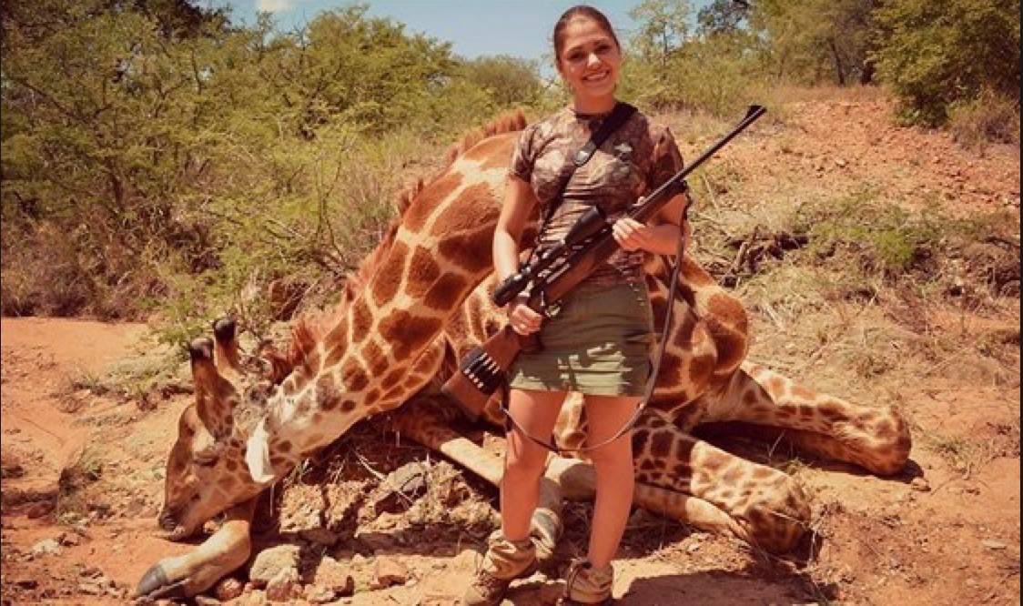 doglab's tweet photo. Please retweet if you think there should be a global ban on trophy hunting https://t.co/wGS7bfrovZ