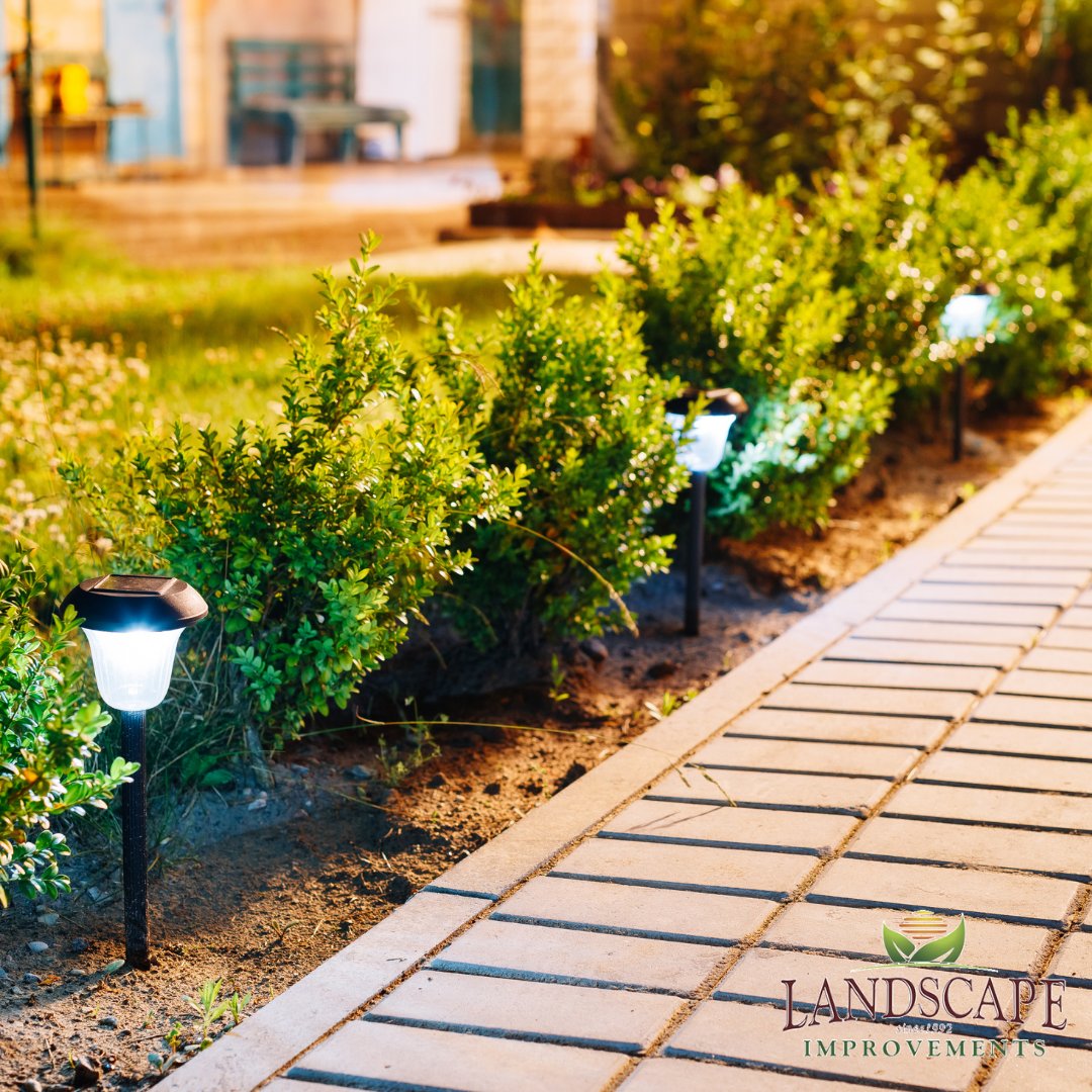 landscapeimprov's tweet photo. Let's highlight the best parts of your yard!

Transform your outdoor space with a touch of magic with us at https://t.co/B2IPZIVmnD 
Call 407-606-7326 or Email us at info@landscapeimprove.com

#landscapeimprovements https://t.co/f8OUeuVnTK