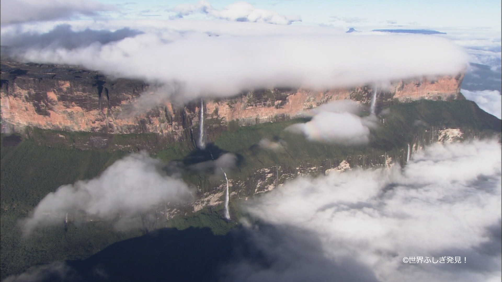世界ふしぎ発見 今夜9時の ふしぎ発見 は ギアナ高地 ギアナ高地といえば 世界最高の落差を誇る滝 エンジェル フォール しかし 一体この滝壺はどうなっているのでしょうか お楽しみに 秘境 天空のミステリー ミステリーハンター 竹内