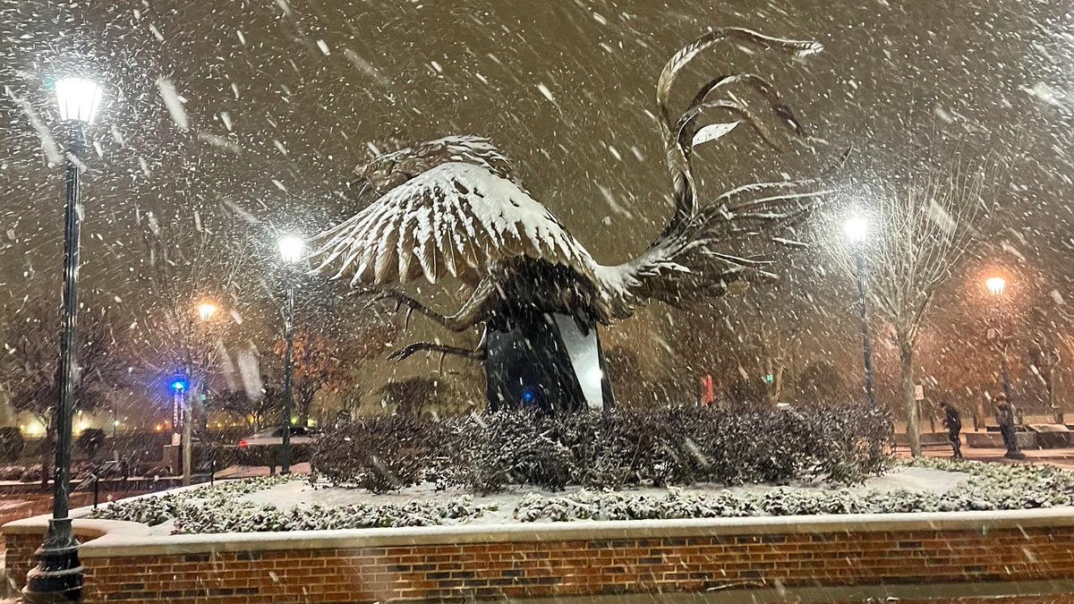 _HarrisonBrant's tweet image. 