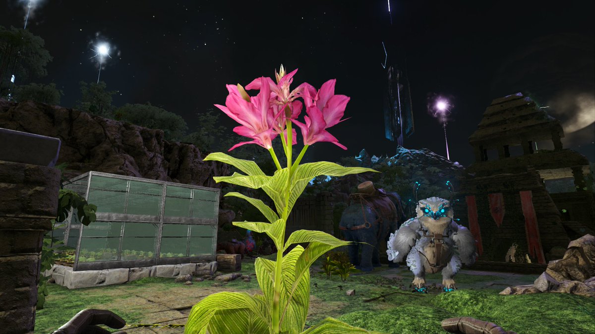 Berries_N_Ark's tweet photo. #PlayARK #ARKSurvivalEvolved #XboxShare https://t.co/TMZXOoXJSj