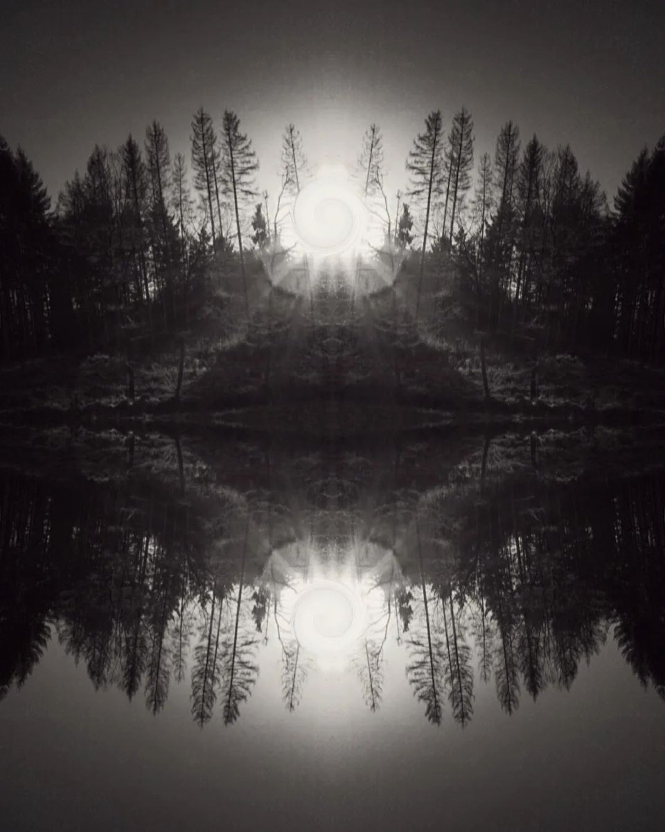 MindOnFires's tweet photo. Looks like a perfect place to write a story, sip some #craftbeer, and submit to natures pull.
#fantasyforest #fantasy #surrealism #silentwoods #blackandwhitenature #darkart #darkmood #forestphotography #blackmetal #darknessofinsta #mixplor #landscapephotography #mysticworld https://t.co/zmOg6XQSfM