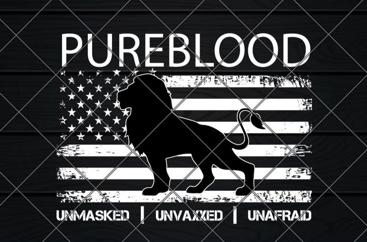 🇺🇸James🇺🇸UltraMaga🇺🇸 tweet media