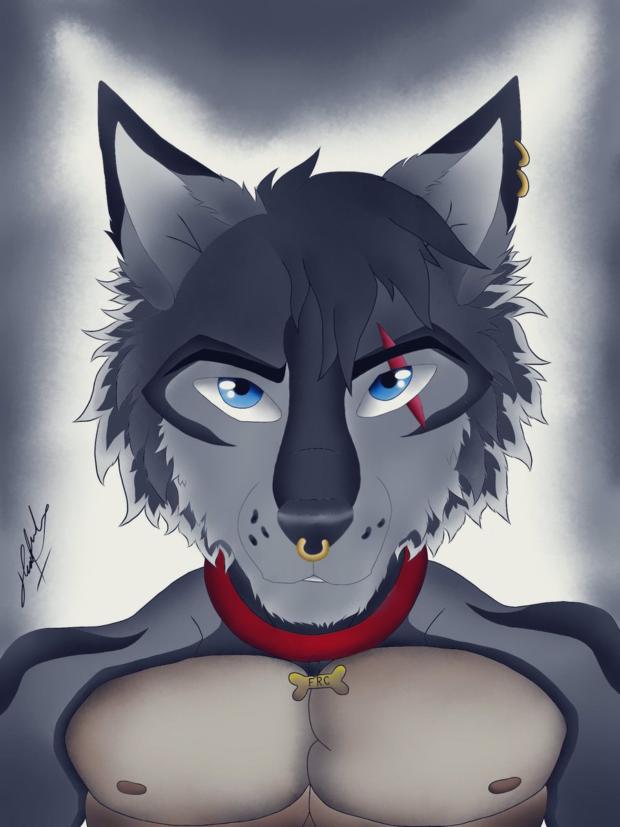 Fernand01244443's tweet photo. one furry ready for action https://t.co/kfgfAMtH4W