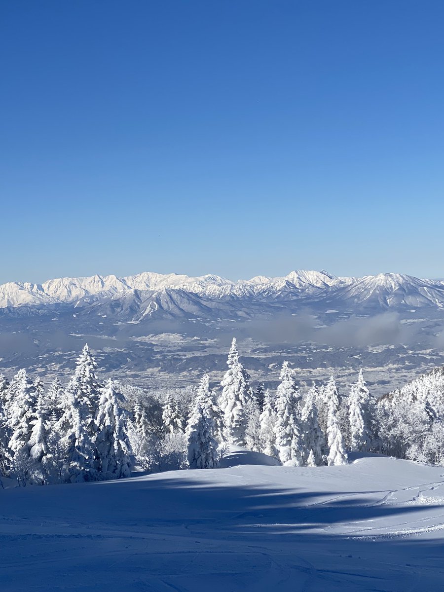 komori0210's tweet photo. #志賀高原
最高のスキー日和 https://t.co/qe3CXYsMI3