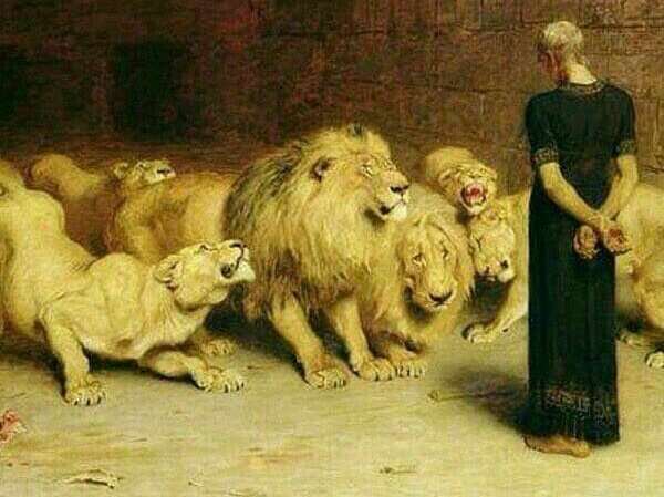 Knomind's tweet photo. ستشاهد آكاذيب من حولك..
 حين تفتح... عين بصيرتك... 
 إن لم تكن تشاهد من يكذب عليك..
ومن يقول الصدق فراجع نفسك..
لأنك بالاصل اغلقت عين حقيقتك..
و كنت تكذب على نفسك...
حتى فقدت ميزان الحقائق فيك...
.
قال الحاذق : الى ما ترمز الصورة...
قلت: ثباتك و صدقك يخيف الاسود نفسها... https://t.co/YN7JY75CCp