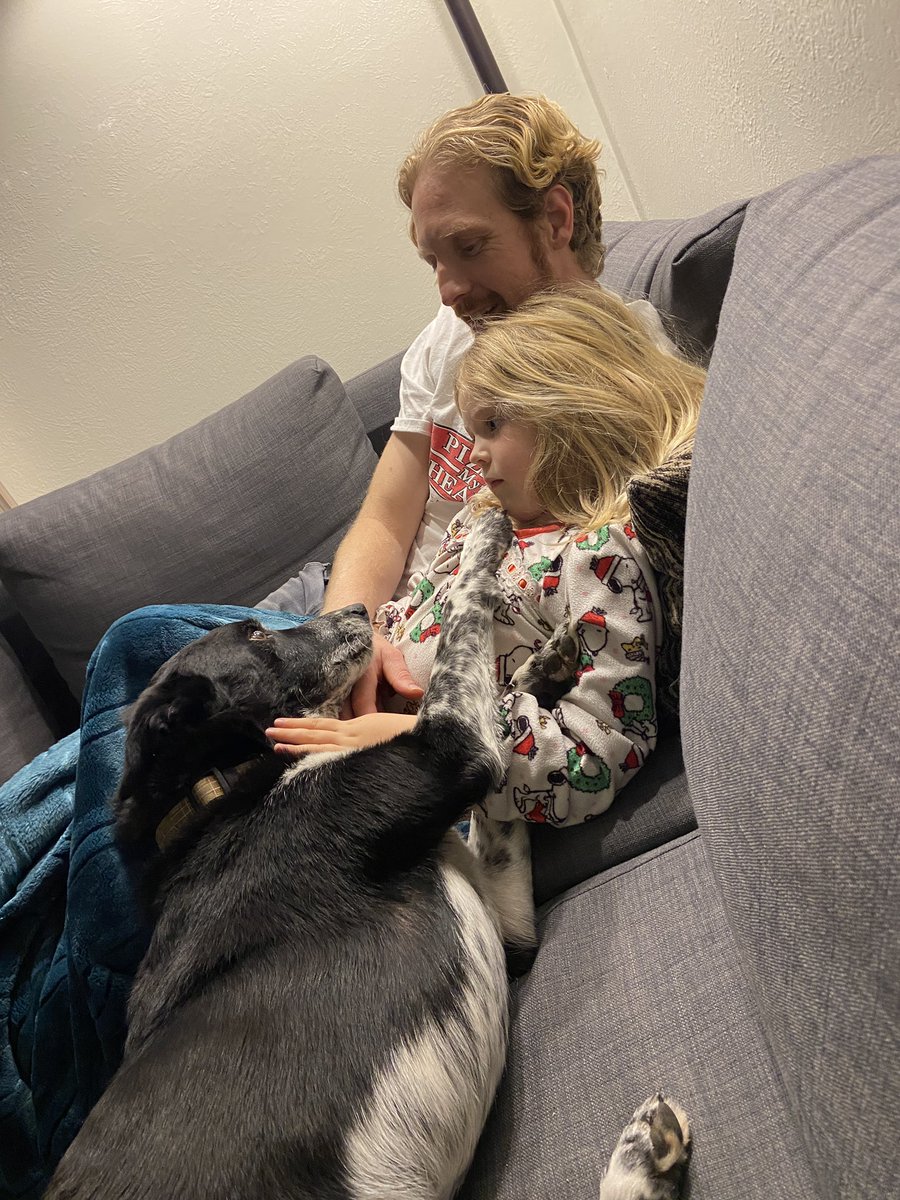 ashmarceen's tweet photo. 📖 Princess Bride family movie night… and someone needs some attention 🐶 https://t.co/7QoN9ZL99C