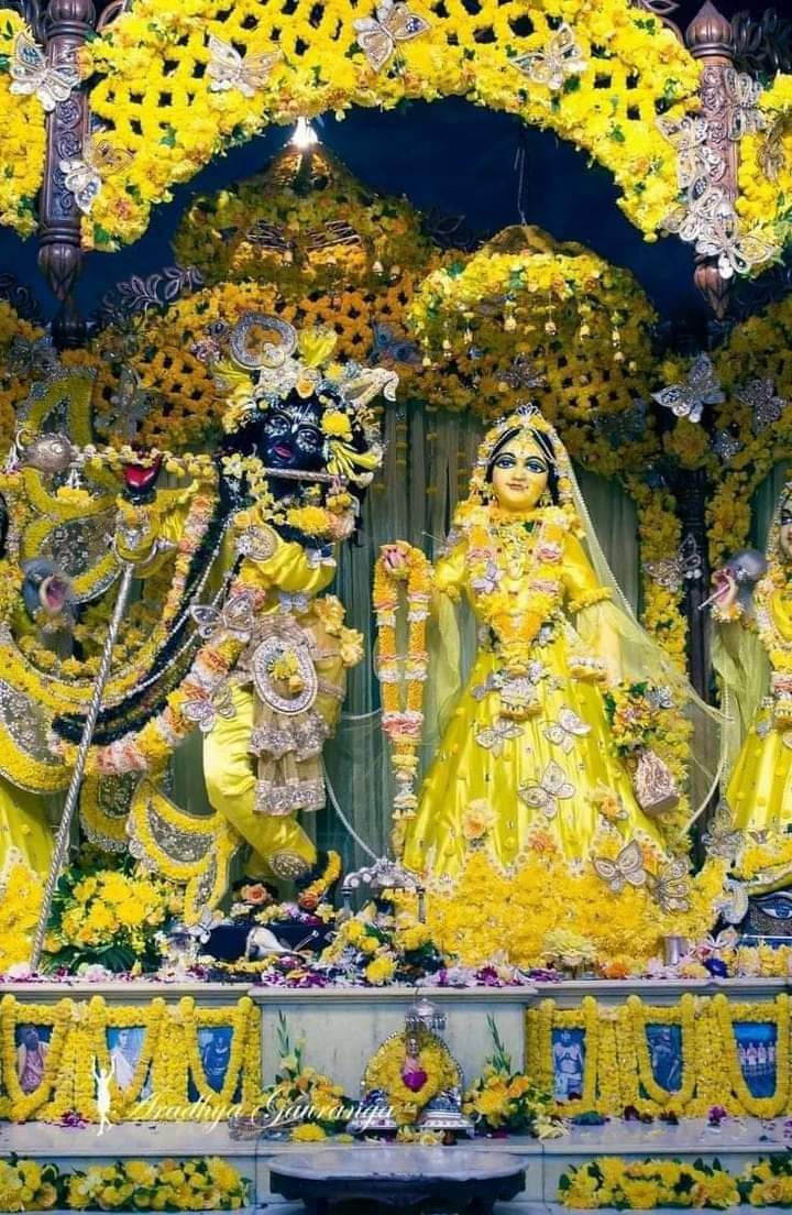 ModakEsha's tweet photo. Good Morning SSRians 🌞 Have a great day indeed 🌻

Today's TAGLINE-
SubodhJi Arrest SSR Killers
#JusticeForSushantSinghRajput https://t.co/iWTdlNDTAb