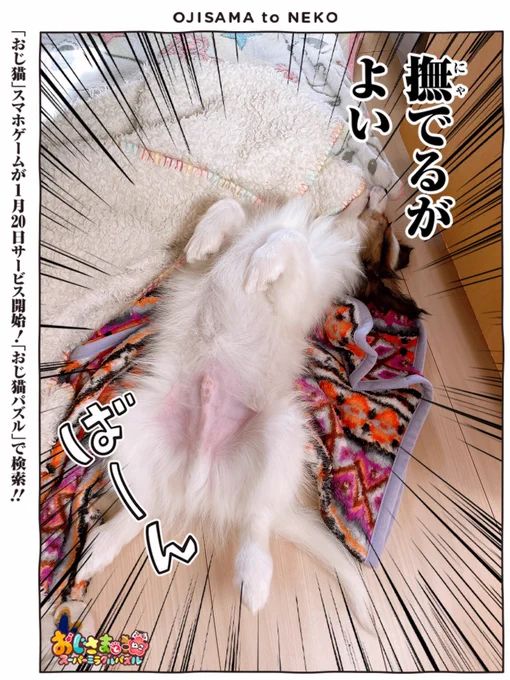 スノウ立ち上げたらちょうど良いフレームがあった😊 