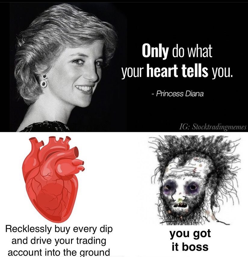 Ipetbear Trading Group tweet media