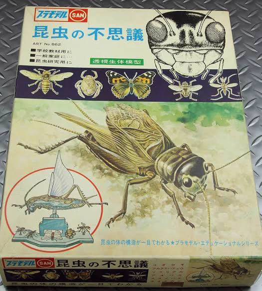 #知らない人には信じてもらえないが確かに存在するプラモデル
虫 