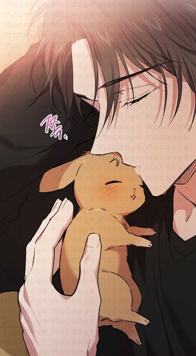 mocaoya's tweet photo. i wish i can sleep with my bunnies like this😔💔 https://t.co/3R4D7GcHWy