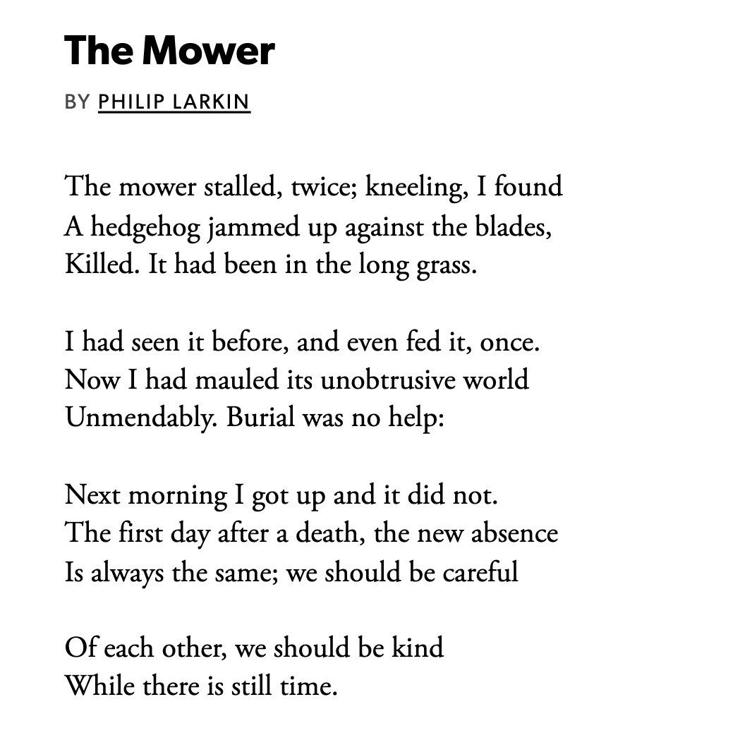 KelliAgodon's tweet photo. As humans, I think sometimes we walk around in our big boots unaware of the smaller world, just trying to get things done.

I think about this Philip Larkin poem so much.

And "we should be kind/while there is still time." https://t.co/E5Nlapji7S