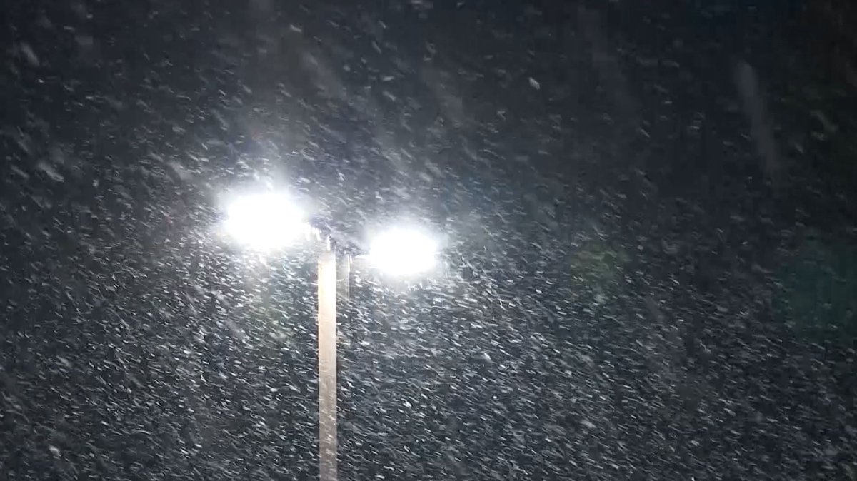 SteveRothNews's tweet photo. It's been snowing for a few hours now in Hartsville and #TeamPeeDee is having a blast. Great work tonight @JackBilyeu &amp; @JournoLaceyLee! @WBTWNews13 https://t.co/M2hsbyyQ1D