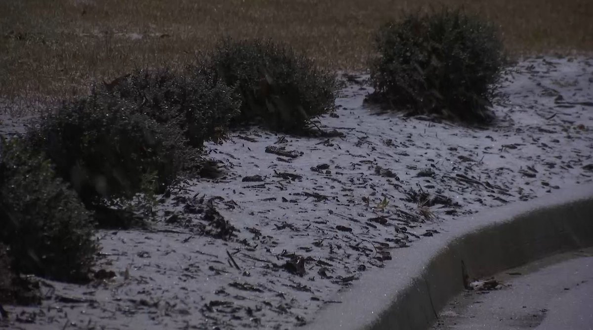 SteveRothNews's tweet photo. It's been snowing for a few hours now in Hartsville and #TeamPeeDee is having a blast. Great work tonight @JackBilyeu &amp; @JournoLaceyLee! @WBTWNews13 https://t.co/M2hsbyyQ1D
