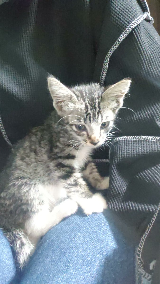 NONU 🎫 Open jastip phuwin tweet media