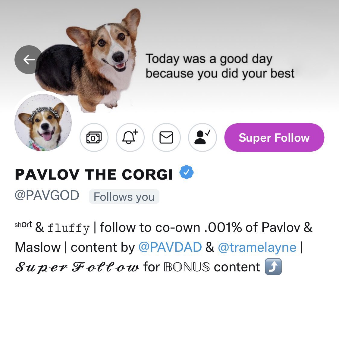 PAVGOD tweet picture