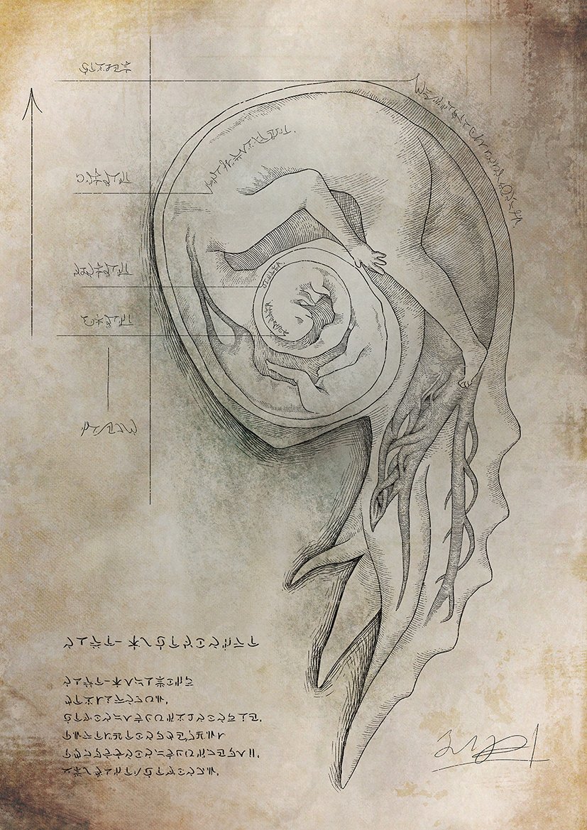 #一次創作絵師拡散フェス02
架空の生き物を調べたり捌いたり食べたり記録した絵を描きます 