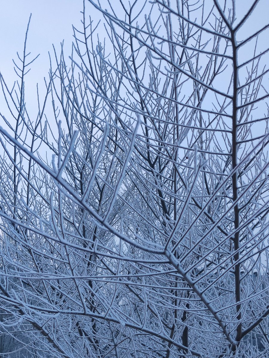 chiffrygaming's tweet image. Syberian winter.

#PocoX3 #winter #ice #snow #morning