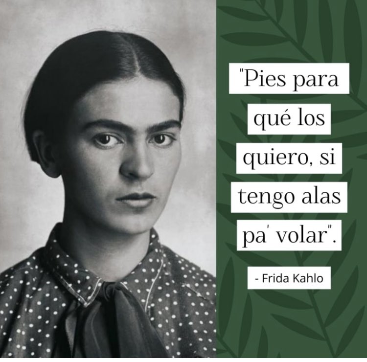 Canche (Chapina en Mx) tweet media