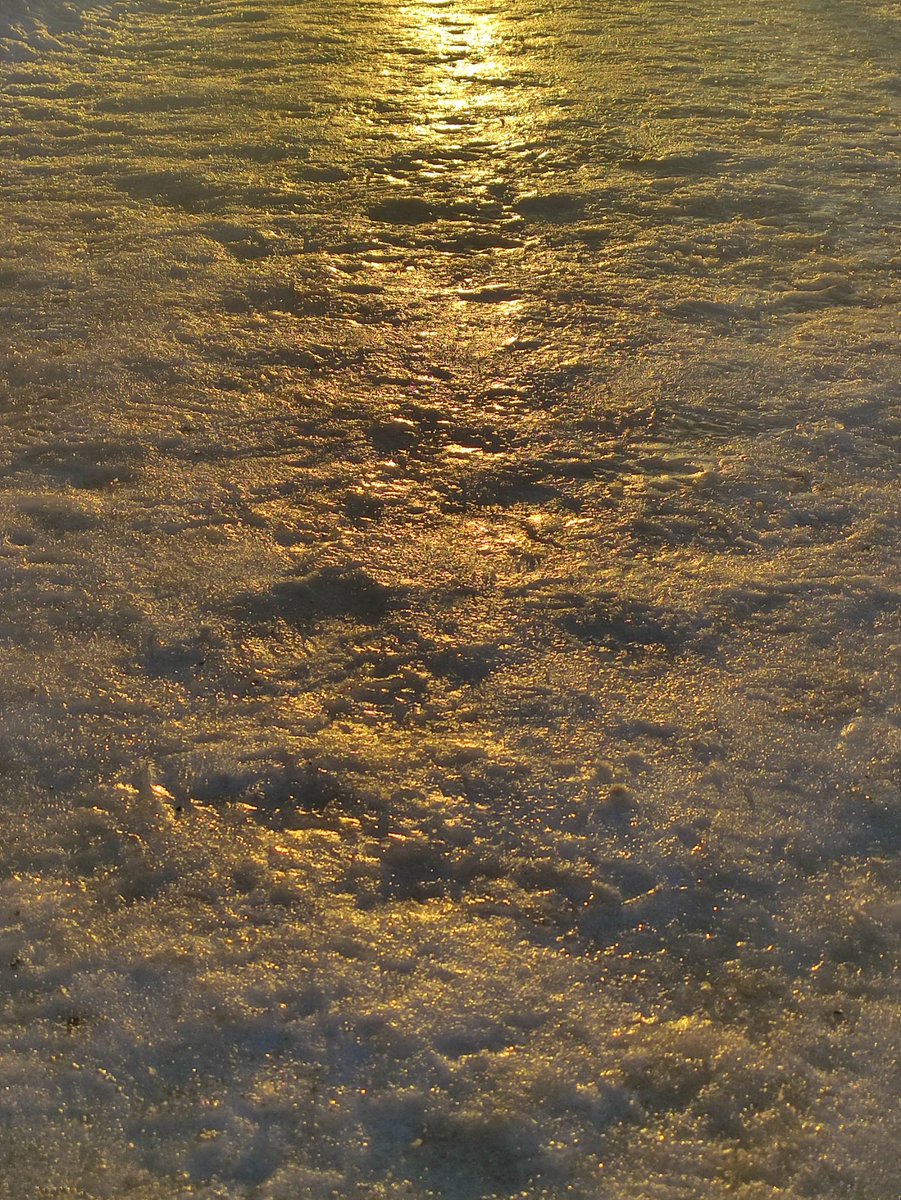 chiffrygaming's tweet image. Syberian winter.

#PocoX3 #winter #ice #snow #morning