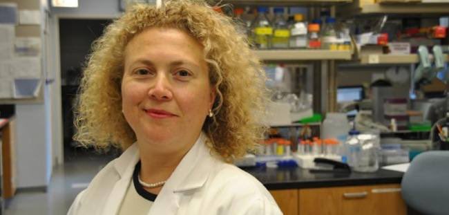 Sinir sistemini felç eden ALS hastalığının nedeni olan motor nöron hücrelerini yeniden onarmayı başararak ALS hastalığına umut olan Dr. Hande Özdinler. Dünyanın en iyi buluş yapan 10 akademisyeninden biri seçildi. Televizyonlar göstermese de paylaşarak tebrik edelim! Tebrikler!