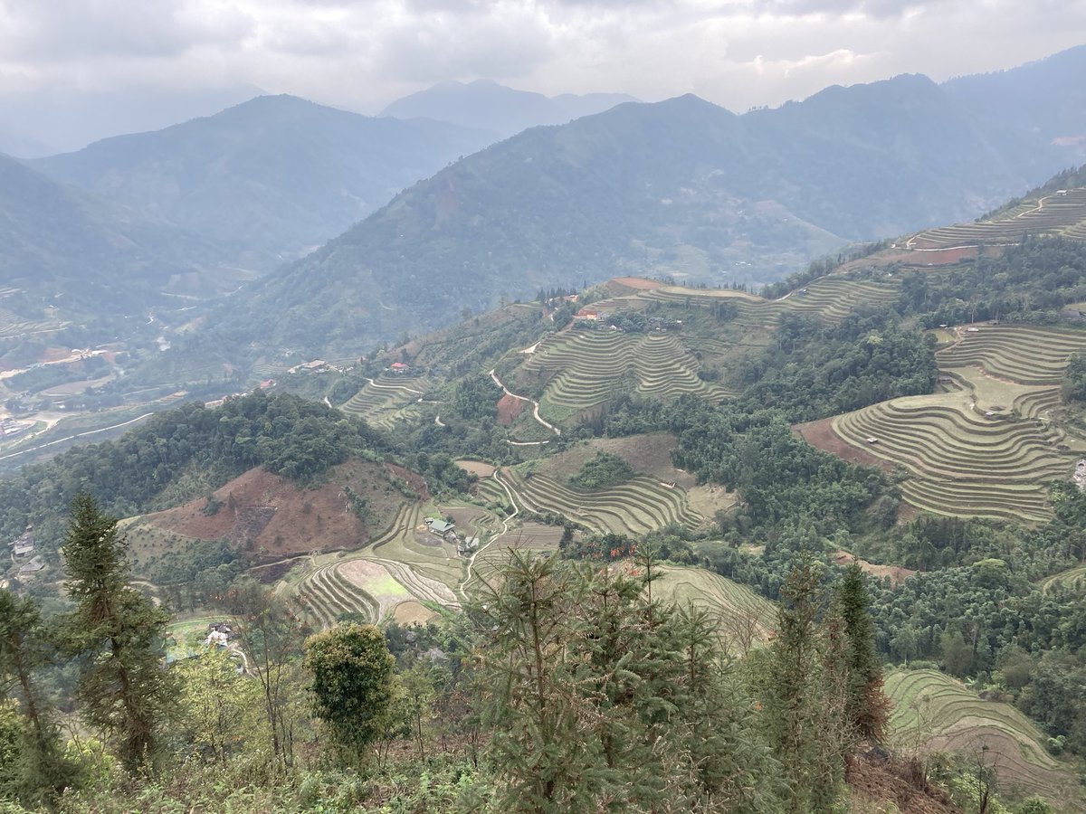 NadavEshcar's tweet photo. The remote District #HoangSuPhi in #HaGiang🇻🇳 is honestly one of the most beautiful corners on this Planet 🌎. Rice Terraces built over Hundreds of years, ancient #Tea trees and the fascinating #Dao Minority Culture, including the #Fire_Jumping Dance, makes it a must-visit-place. https://t.co/E26VOyqgJB