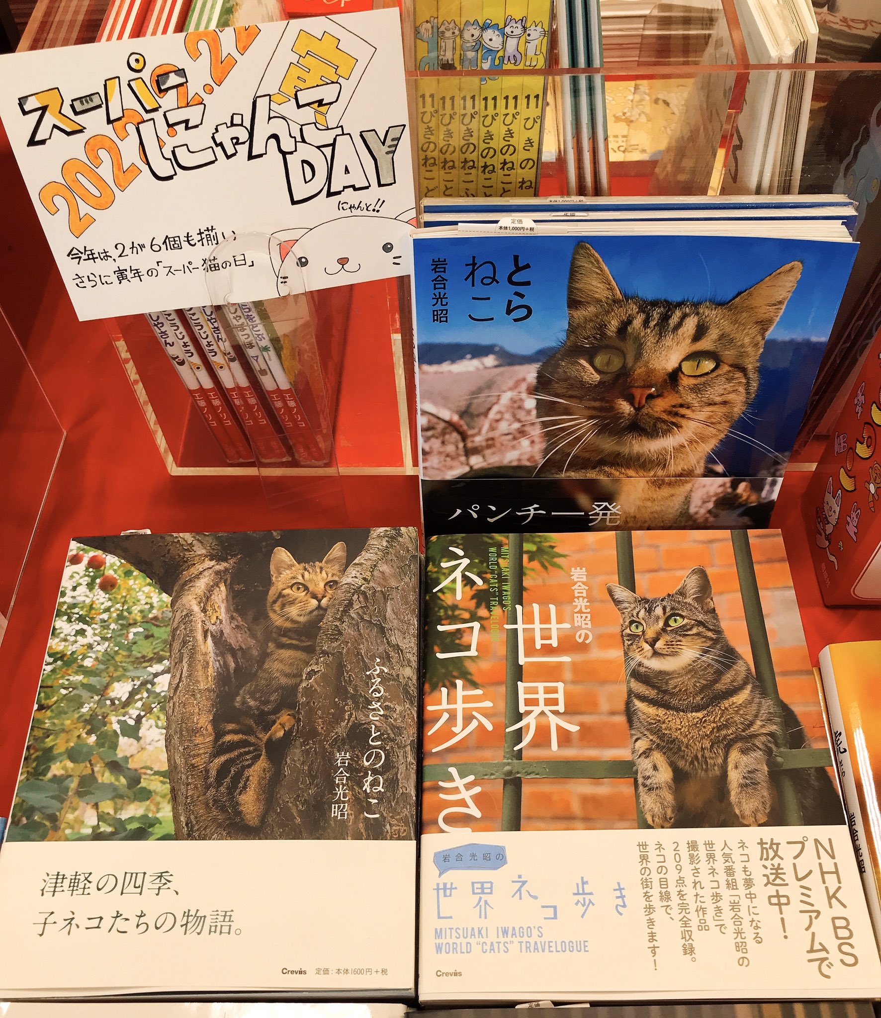 丸善 ヒルズウォーク徳重店 猫の日 スーパー猫の日フェアからご紹介 猫 の本といえば忘れてはいけないのが ポール ギャリコ ある日編集者に届けられた謎の原稿を解読すると それはなんと 猫の手による猫のための人間のしつけかたマニュアル そんな