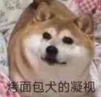 NextdoorShenb's tweet photo. @anguang1 主人の任务罢了 https://t.co/C9C8HOOqLb