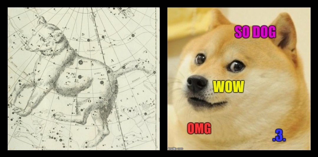 nyanucoine's tweet photo. ... hold my " bear " ! 
WOW
SO DOG
OMG
.3.

#Doge #DogeToTheMoon #Dogecoin #DogecoinToTheMoon https://t.co/9d6ZwtpOpm