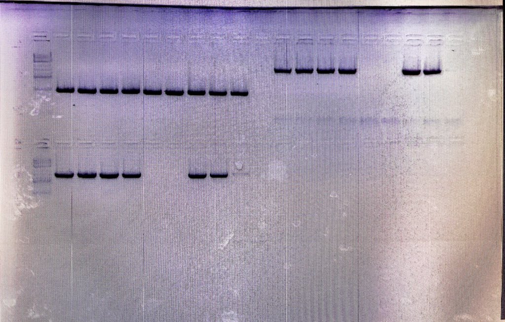 Sometime take 3month troubleshot but works in ONE DAY. Happy weekend!