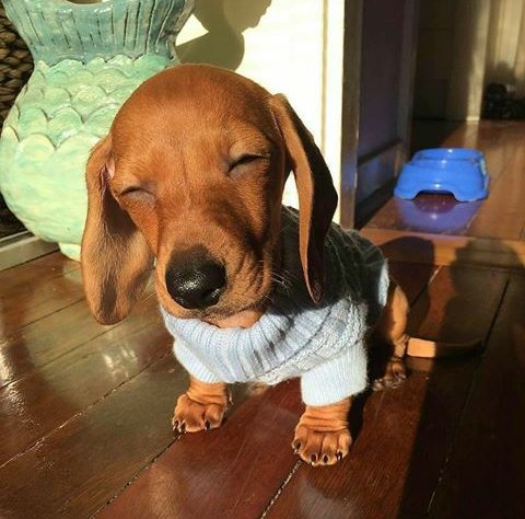 Más bello no hay...😍