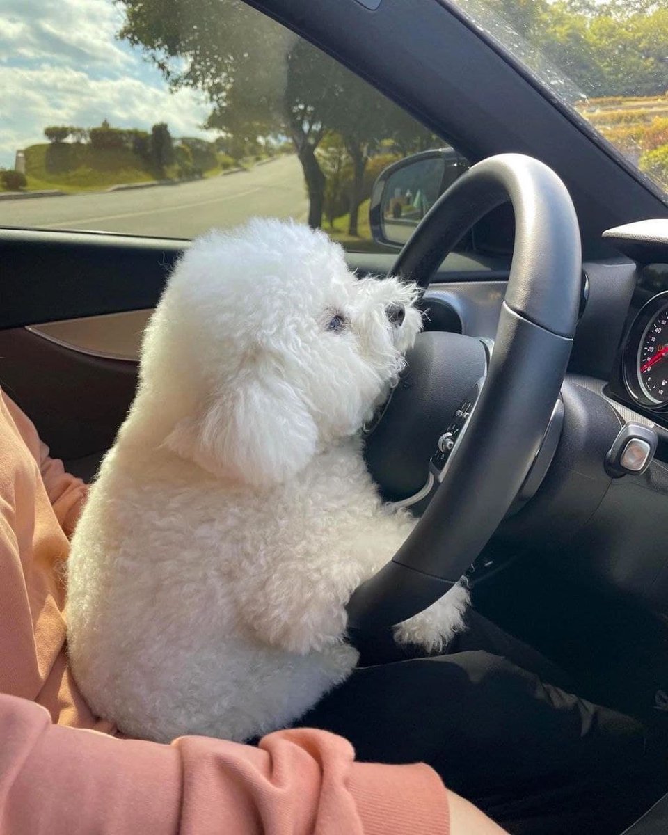 deekenna4's tweet photo. hahaha so cute https://t.co/0QBSSJEJdv
