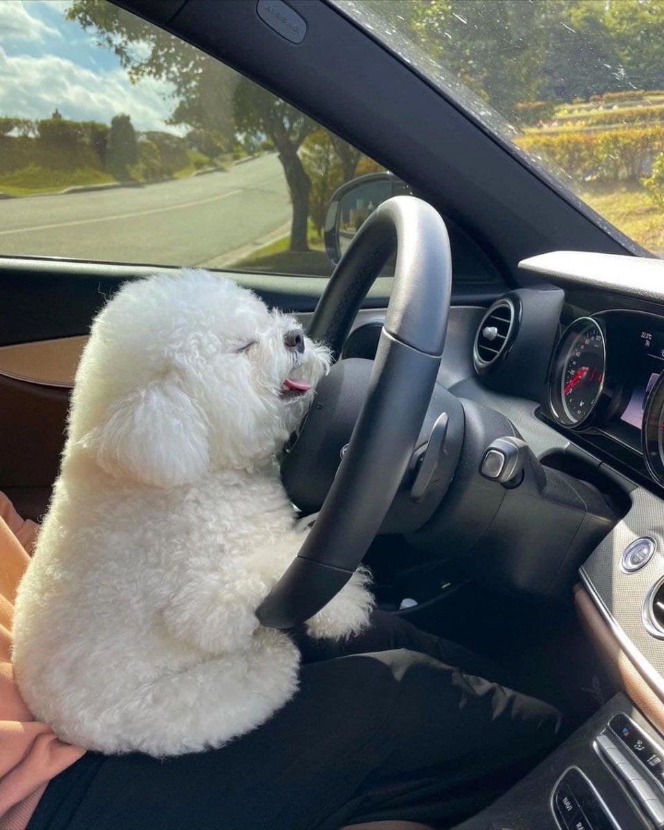 deekenna4's tweet photo. hahaha so cute https://t.co/0QBSSJEJdv
