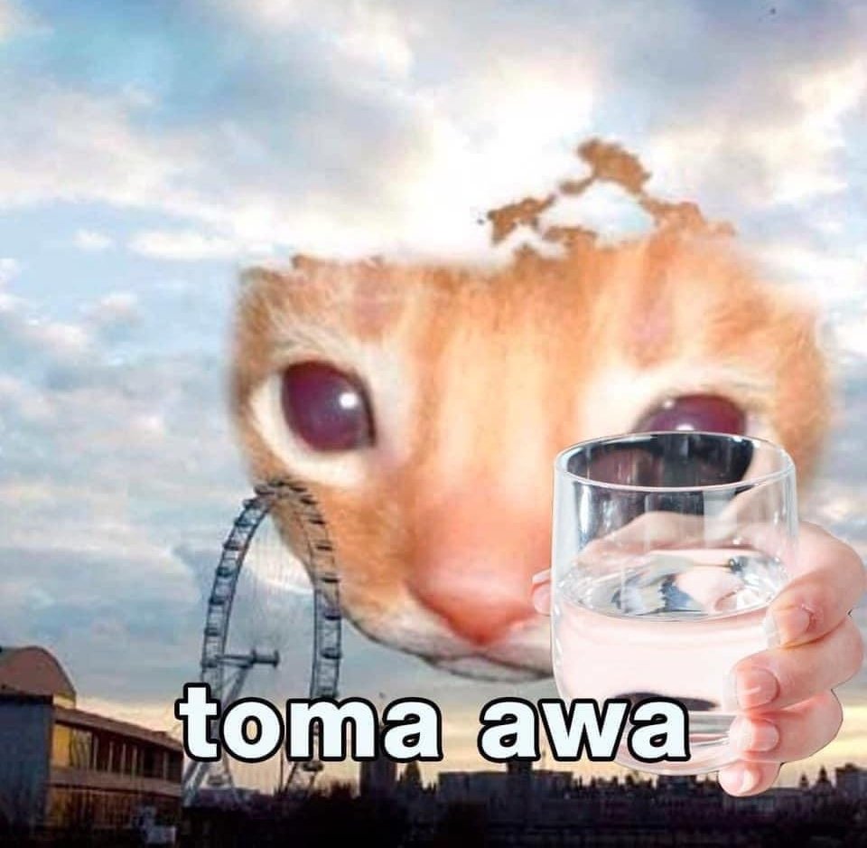 🎃⃟Mavi tweet media