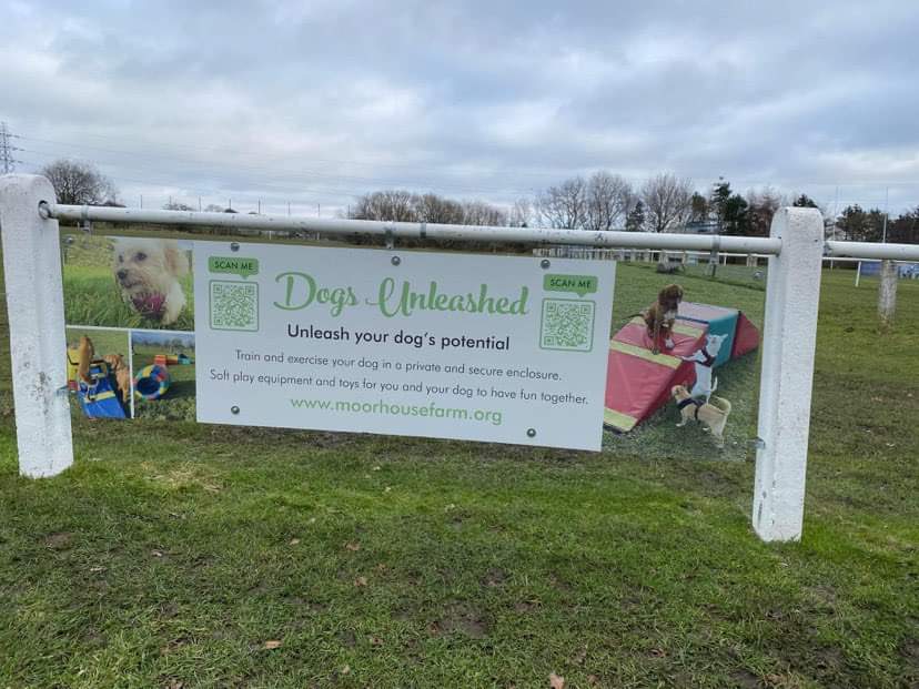 BBluedogs's tweet photo. A massive thank you to @LinkGroupHelp and Dogs unleashed for becoming the latest sponsors to join the Bluedogs family. We still have some great opportunities for local businesses to get on board with pitchside advertising. A low cost way to advertise your company locally. https://t.co/g3WkcDaVKu