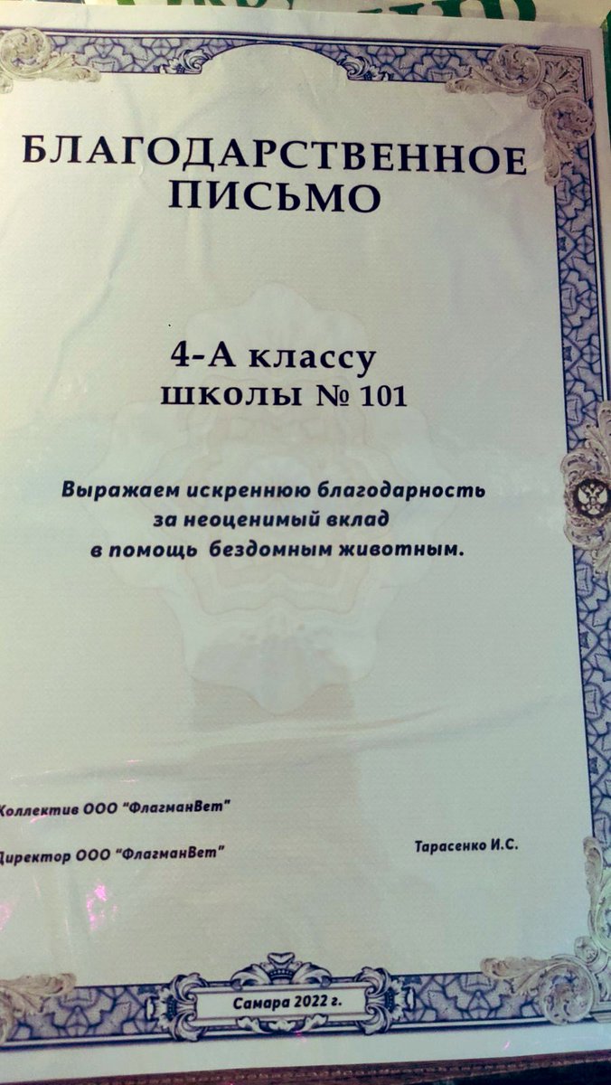 МБОУ 101 г.о. Самара tweet media