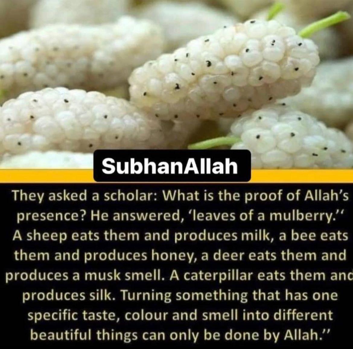 Abdool Kader Hoosen tweet media