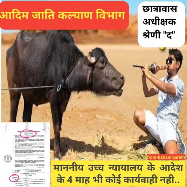 GavelTripti's tweet photo. #Promotion_Hostel_Superintendent
मान. छ.ग.उच्च न्यायालय के आदेश के पश्चात भी आदिवासी विकास विभाग द्वारा छात्रावास अधीक्षको का प्रमोशन नहीं किया जा रहा है, कृपया संज्ञान में लेकर तत्काल अग्र कार्यवाही करने का कष्ट करें।
@MohanMarkamPCC
@shammiabidi
 @Drpremsaisingh
@bhupeshbaghel https://t.co/9Cul8S6GNh