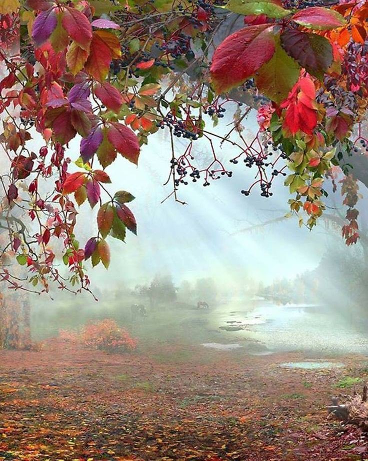 عمرعبدالرحمن (@c12345xd) on Twitter photo 