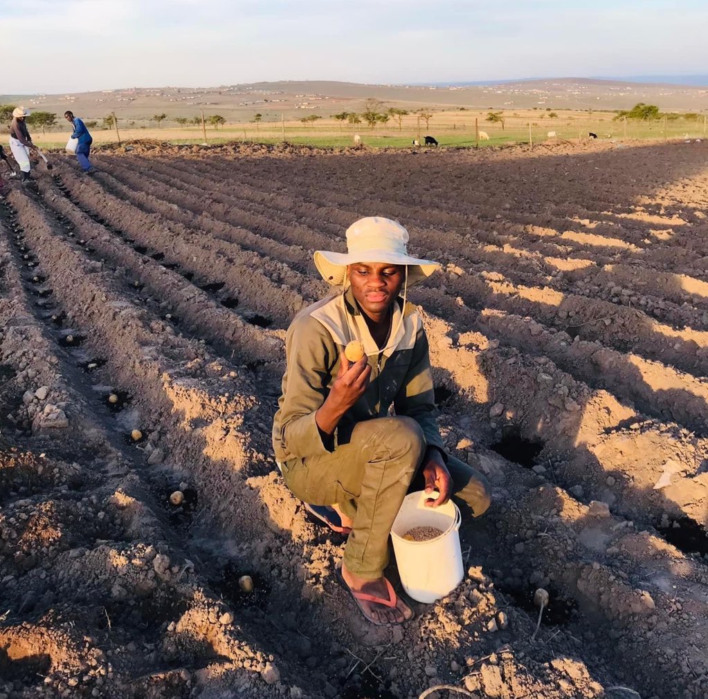 Agric_young's tweet photo. Congratulations to Nkosinathi Makamela, is only 21yrs but already making big moves in #farming🏆watch https://t.co/RbtL0jAR4m or RT

Cbd Twitter zuma Redi Sundowns Ari Lennox #Iblewit Sandton Twitter Polokwane #DJSBU makhadzi Kabza Pitso Nasty c Mohale Jub jub Chris excel MacG https://t.co/PlRoA6shSz