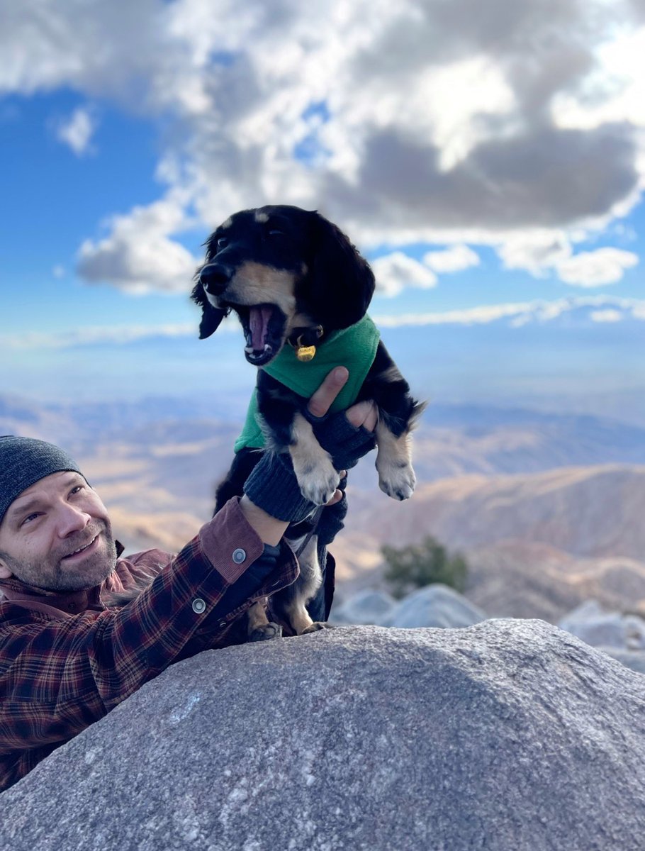 VoiceOfOBrien's tweet photo. Sprigg Report 030. https://t.co/aGv0GD6uxJ