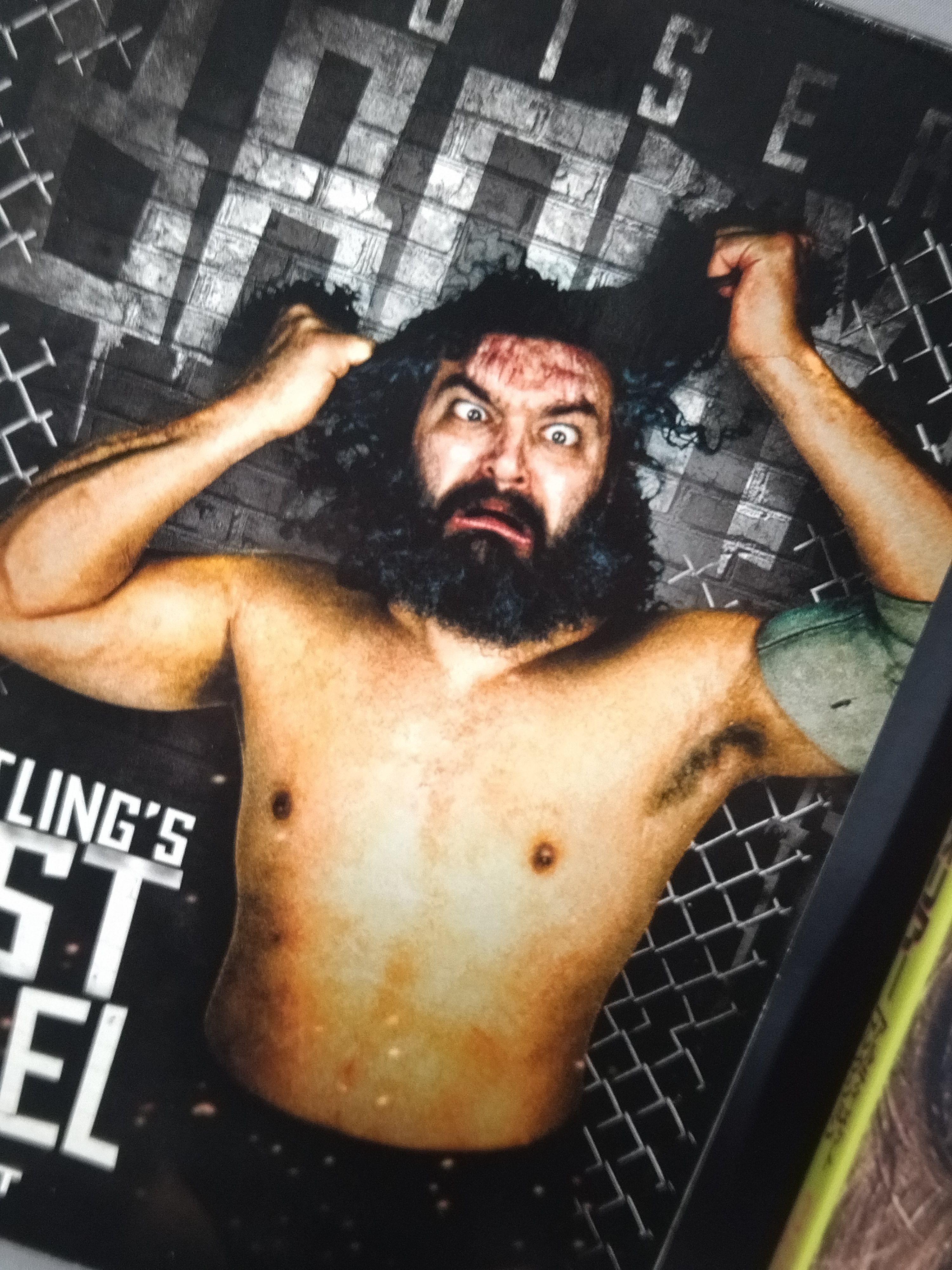 アルティメットウォリアー アルティメット・ウォリアー - Wikiwand