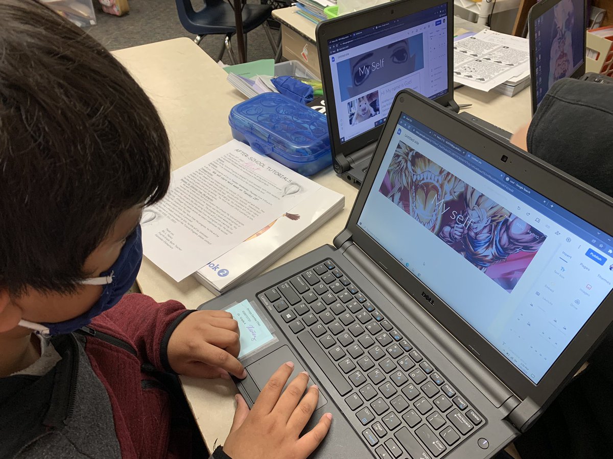 Leyla Nuñez tweet media