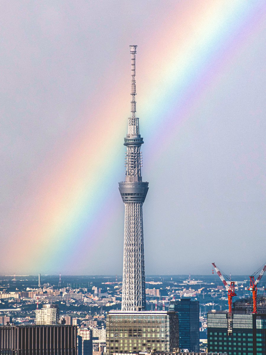 奇跡みたいな写真が撮れてしまった。