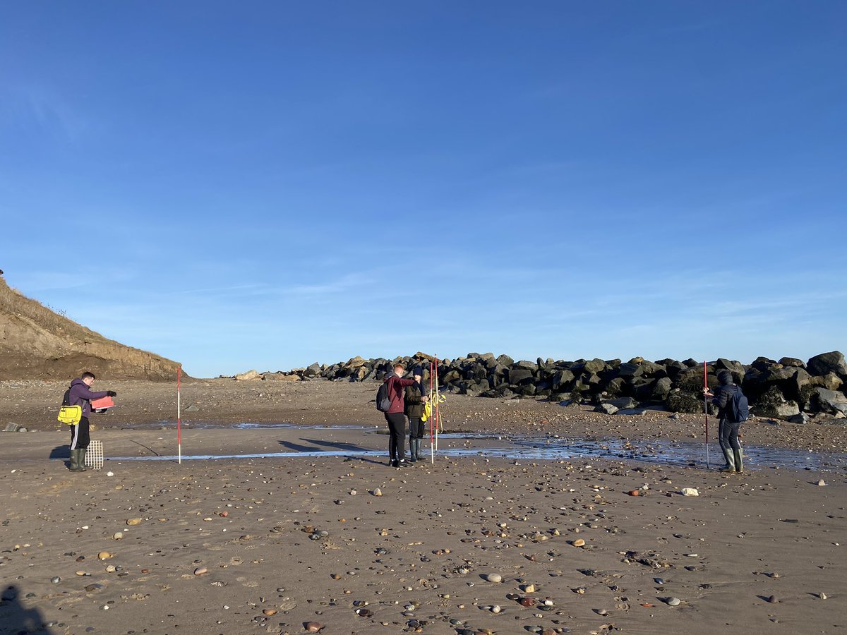 Wath_Geography's tweet photo. A level Geographers looking at managed vs unmanaged beaches at Hornsea for their NEAs #noexuses  #worldclasslearning @WathAcademy https://t.co/Np4vXIb7w0