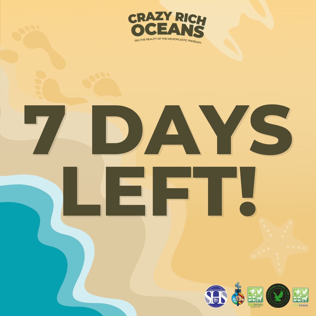 pasglaudatosi's tweet photo. Whale-come🐳 to the coast!🏖️

Flip your flip-flops👡 as we enjoy the ambiance🏝️, the breeze🌬️, and the sun🌞!

7 days until we reach the seabed🌊

Grab your Scuba Gears here🥽: https://t.co/z55rRAu3t8

Have fun and enjoy the warm sand!

#CrazyRichOceans🤑💅
#SeaTheReality👀🌊 https://t.co/w0NETWFUMc